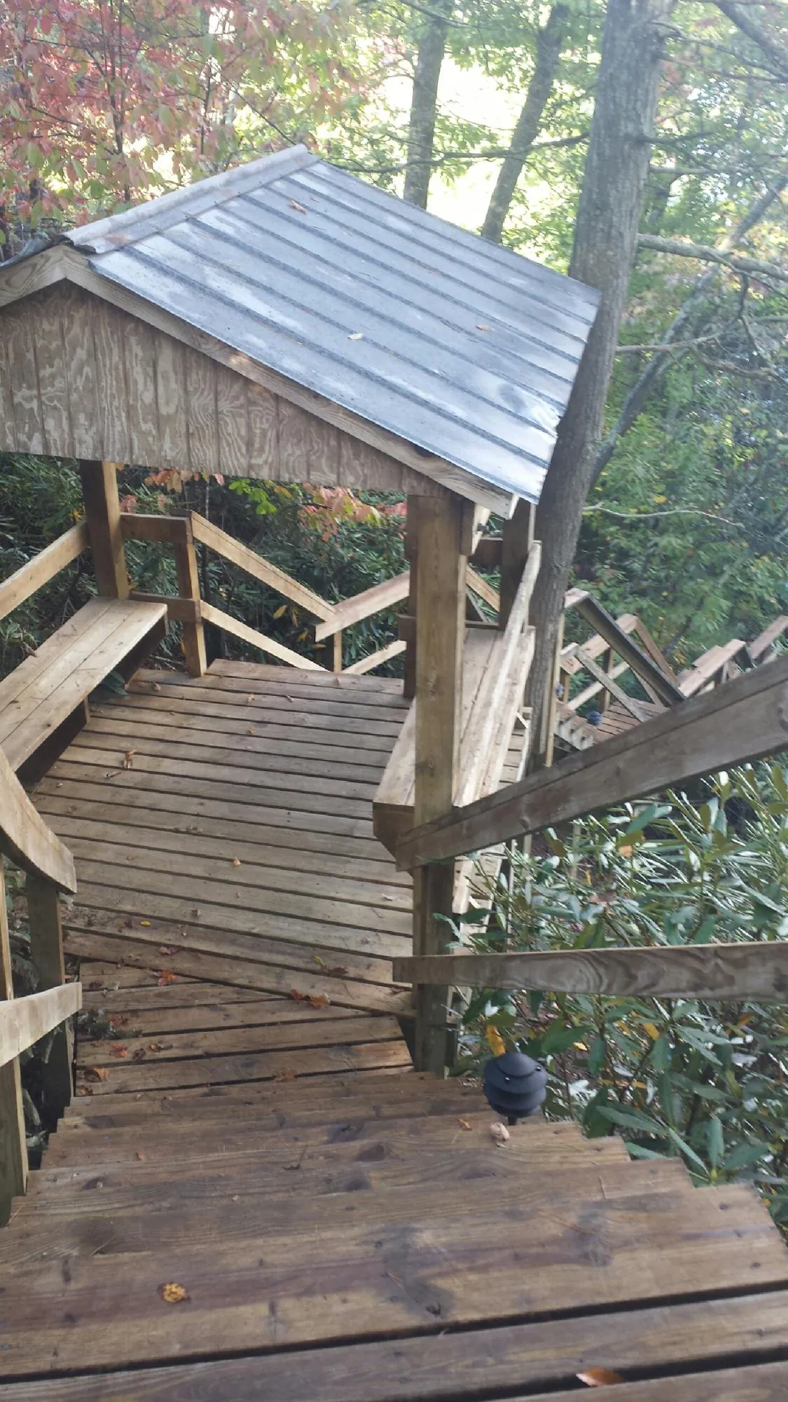 Metal roofed shelter over wooden steps on a wooded walkway — Skylight Repair & Installation work by our crew in Rosine